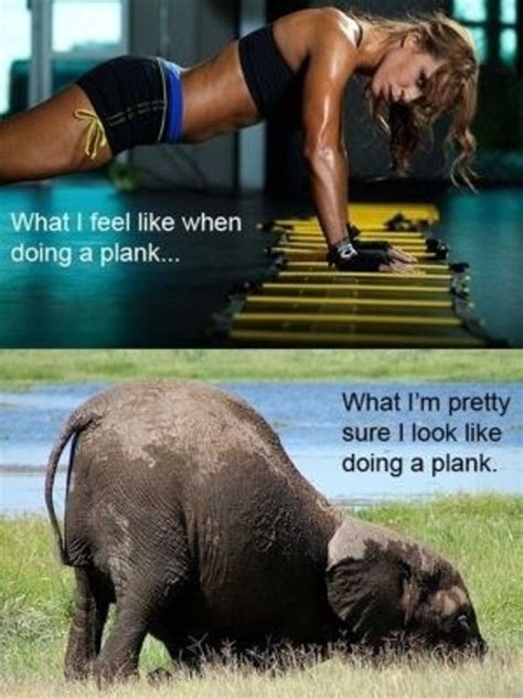 So we rounded up the top shareable (and totally relatable!) <strong>workout memes</strong> for every <strong>workout</strong> warrior. . Workout meme funny
